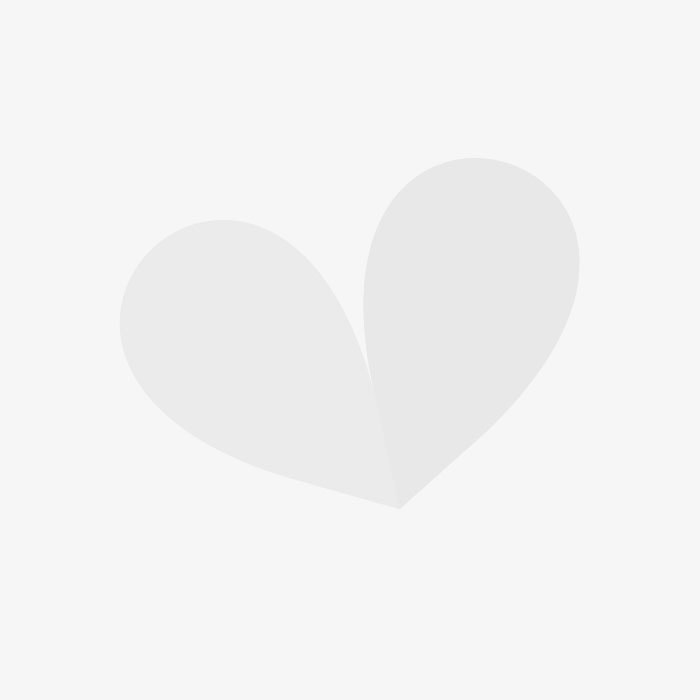 Planten kopen online Planten kopen online