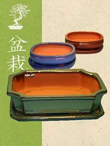 Bonsai potten