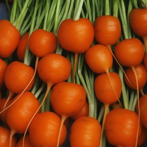 Wortelen Parijse markt