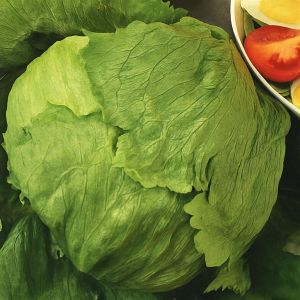 IJssla Dublin   Iceberg Lettuce Dublin
