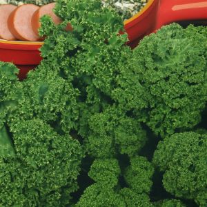 Boerenkool Westland Herfst