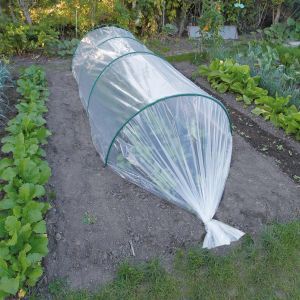 Groeifolie voor zaad transp. 2x10m 50µ