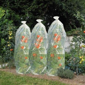 Tomatenfoliehoezen 15mxø50cm 50µ