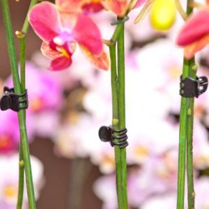 Orchidee clips zwart set a 10 stuks