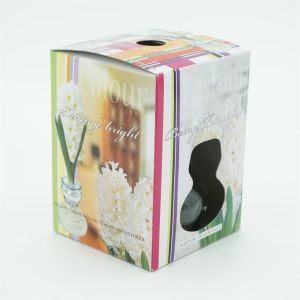 Witte Hyacinth met glas