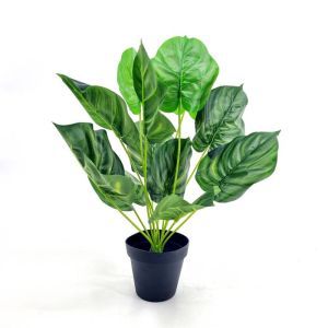 Calathea Orbifolia kunstplant 50-60 cm