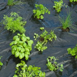 kweekfolie tuinkruiden met gaten