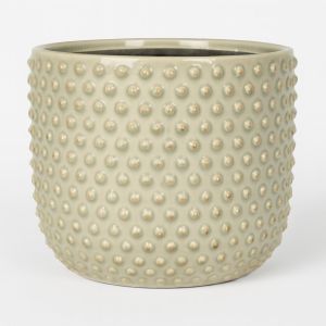 165914 Bolino Mint Studio